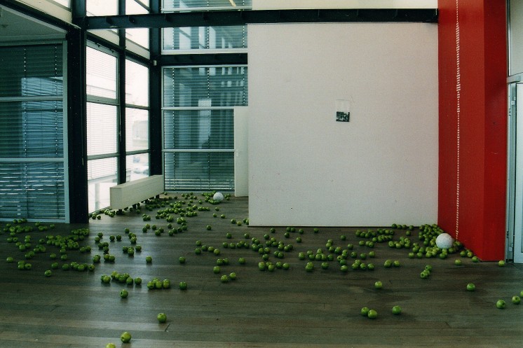 The Fall of Man (Bookworm), installation view, Museum Depaviljoens, Almere, Holland 2003
